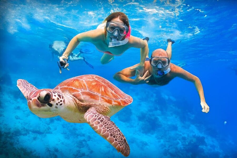 Bali: Snorkeling on 2 spots with Lunch and Transport - Stop 2: Tanjung Jepun for Reef Gardens, Rays, and Quiet Swims