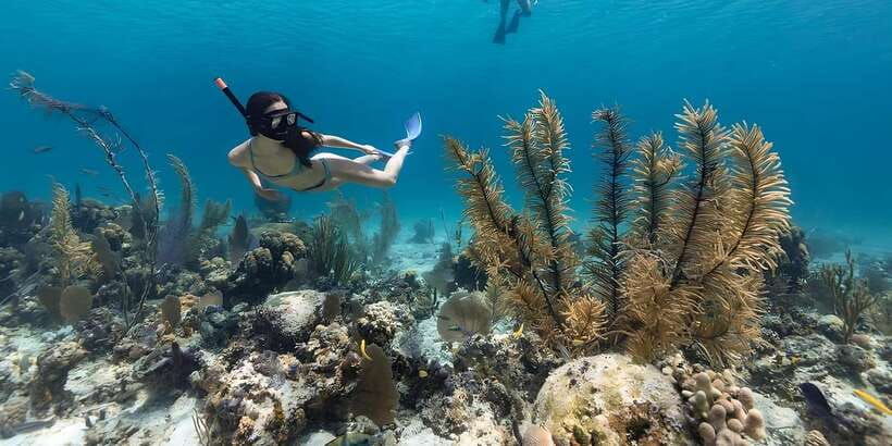 Bali: Snorkeling on 2 spots with Lunch and Transport - Guides, Safety, and Why Names Matter for This Trip
