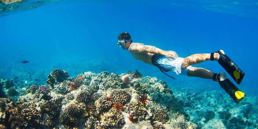 Bali: Snorkeling on 2 spots with Lunch and Transport - Getting the Best Underwater Views Without Overthinking It