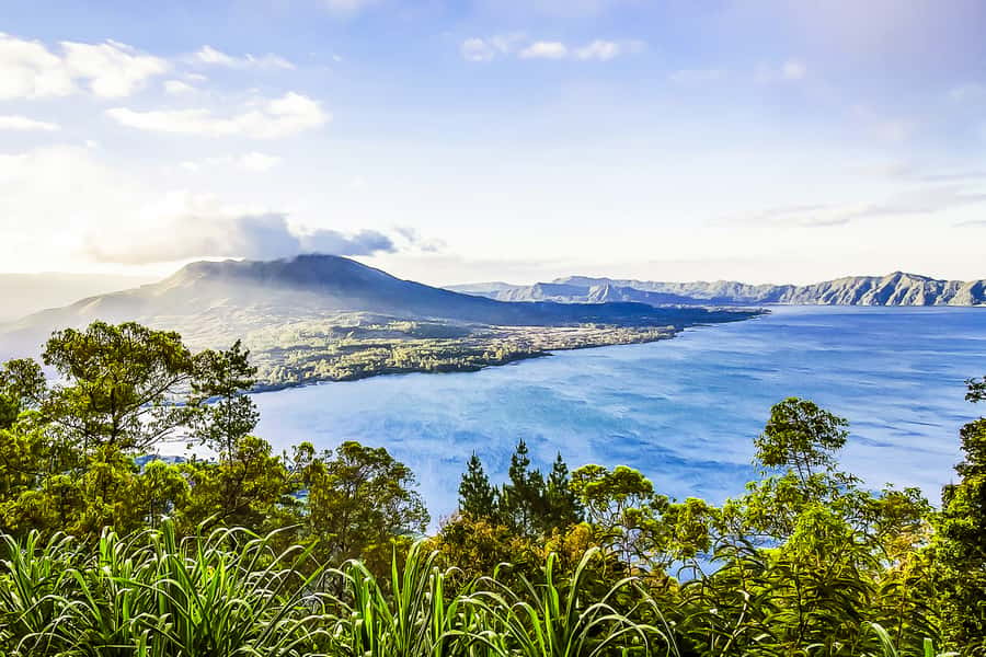 Bali: Sunrise Mount Batur Guided Hike with Breakfast - Coffee plantation and Luwak tasting: what you should expect