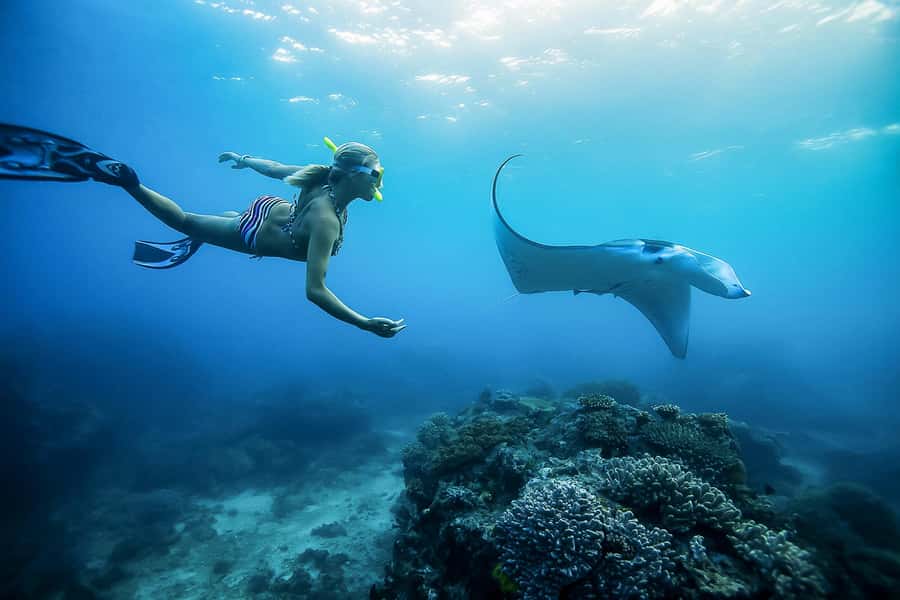 Bali: Swim with Manta Rays in Penida, Optional Lunch & Kayak - Why Nusa Penida manta rays are worth the effort