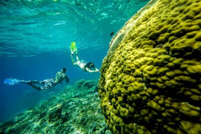 Swim with Manta Rays in Penida, Optional Lunch & Kayak