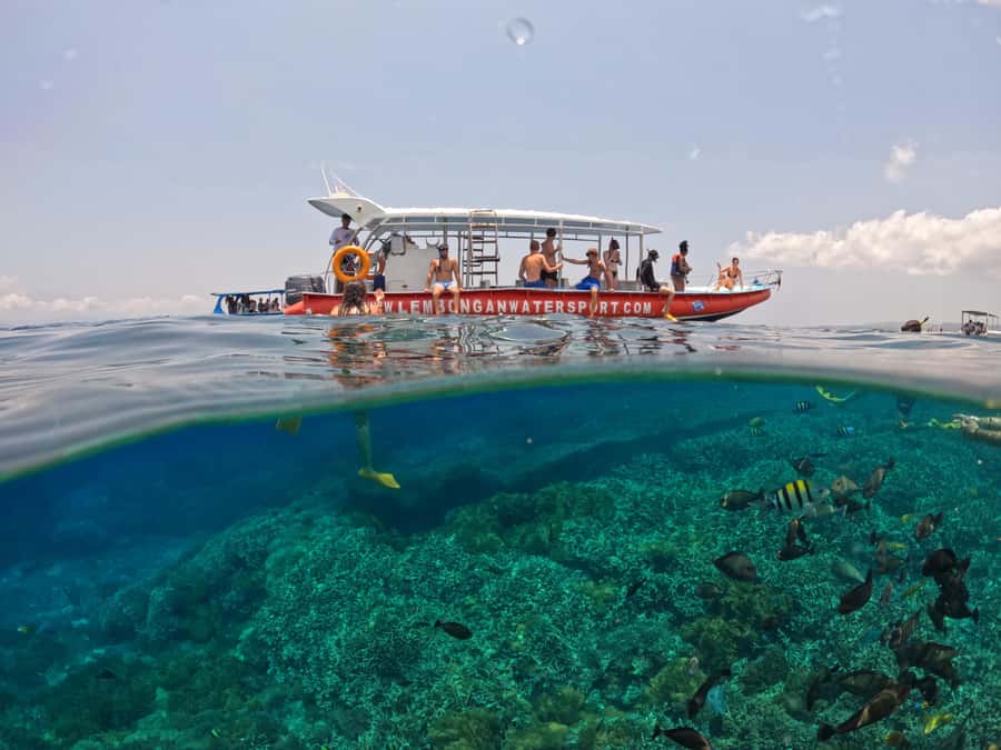 Bali: Swim with Manta Rays in Penida, Optional Lunch & Kayak - Safety and comfort: what the guides do when conditions get rough