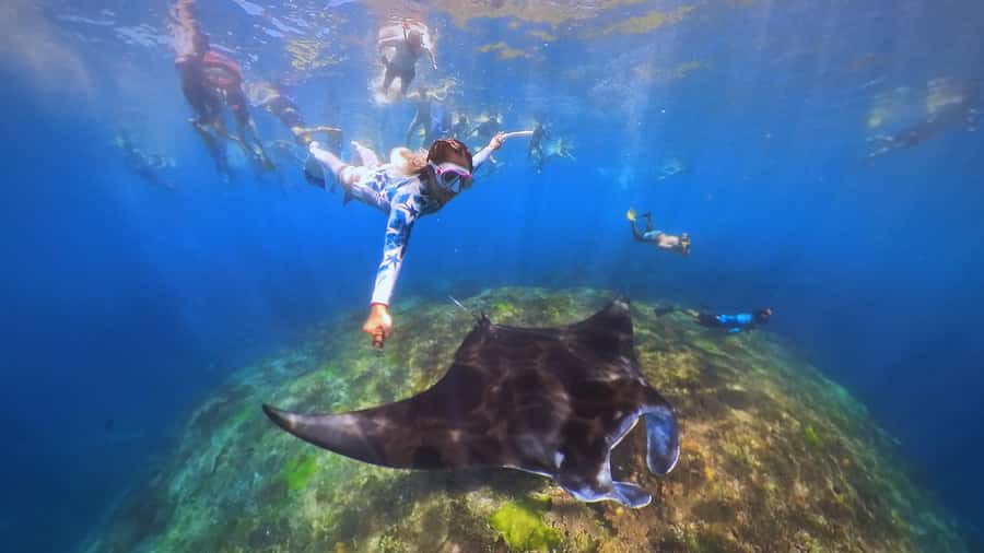 Bali: Swim with Manta Rays in Penida, Optional Lunch & Kayak - Lunch at Mesari: buffet food plus a mangrove-view reset