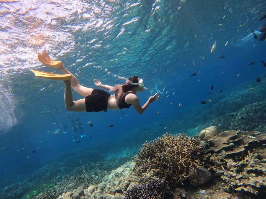 Bali: Swim with Manta Rays in Penida, Optional Lunch & Kayak - The total timeline: why 6 hours still feels like a full day