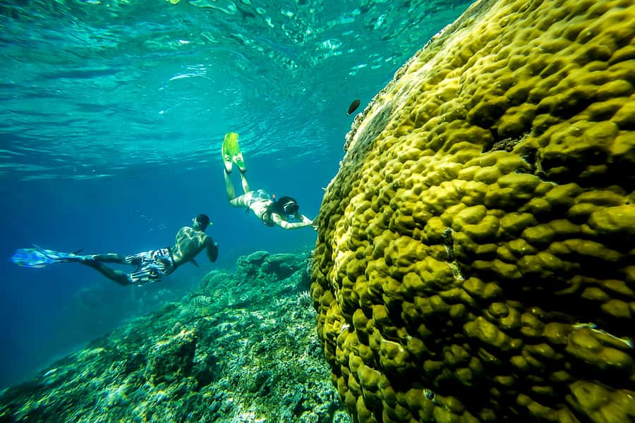 Bali: Swim with Manta Rays in Penida, Optional Lunch & Kayak - Getting there the right way: Serangan to Lembongan without losing your whole morning