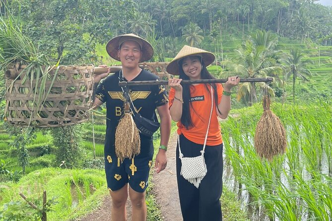 Bali Swing Hot Spring And Waterfall Private Guided Tour - Batur Natural Hot Spring: The Best Reason to Book This Tour