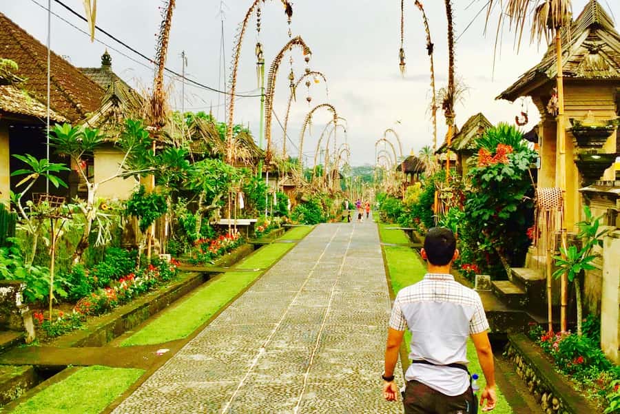 Bali: Swing with Falls, Rice Terrace, & Monkey Forest Option - Who This Tour Is Best For (And Who Should Skip It)