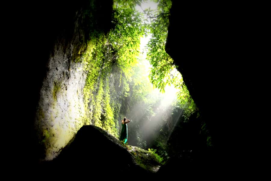 Bali: Swing with Falls, Rice Terrace, & Monkey Forest Option - Rice Terraces and Those Classic Ubud Views, Without the Stress