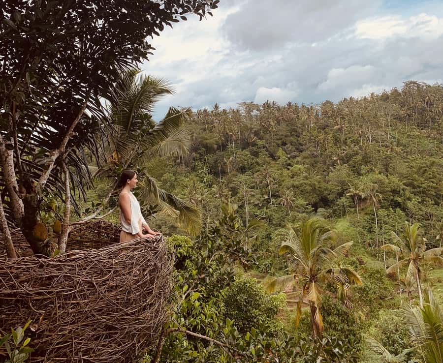 Bali: Swing with Falls, Rice Terrace, & Monkey Forest Option - Choosing Penglipuran Village or Ubud Monkey Forest Sanctuary