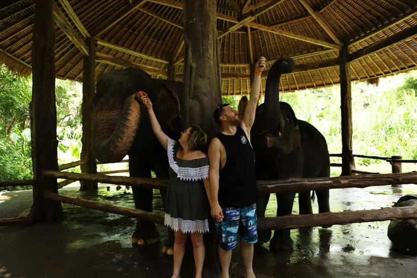 Bali: Taman Safari and Elephant Feeding with Hotel Transfer - Hotel Pickup, Timing, and the Real Meaning of an 8-Hour Safari Day