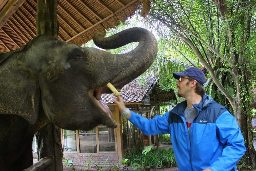 Bali: Taman Safari and Elephant Feeding with Hotel Transfer - Entering Taman Safari Bali: What You Get Before You Ever See an Elephant