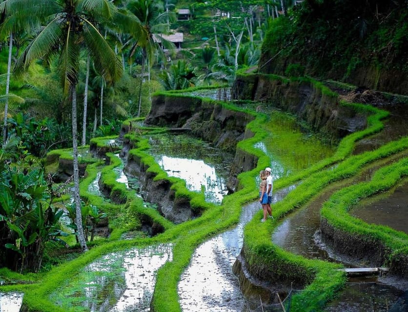 Bali: Tanah Lot, Jatiluwih Terrace, & Ulundanu Beratan Tour - Who should book this Tanah Lot, Jatiluwih, and Ulun Danu Beratan tour