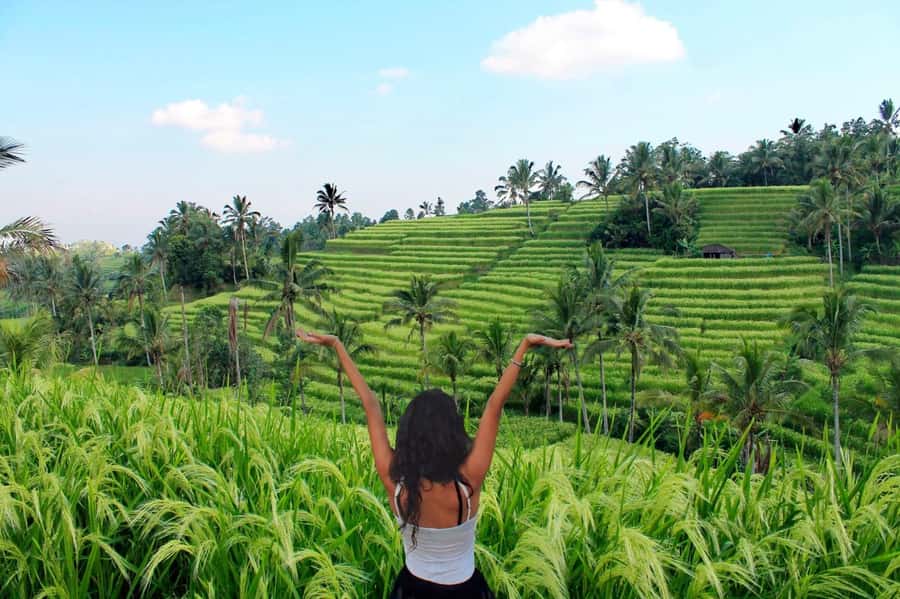 Bali: Tanah Lot, Jatiluwih Terrace, & Ulundanu Beratan Tour - Ulun Danu Beratan: lakeside temple with shifting mountain light