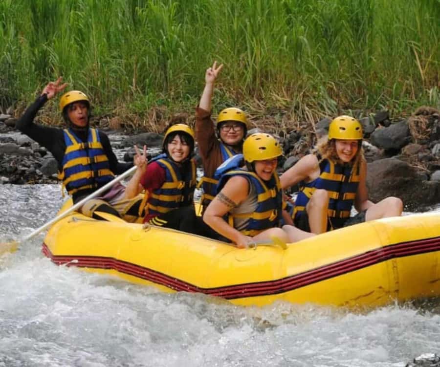 Bali: Telaga Waja White Water River Guided Rafting & Lunch - Who should book (and who should skip it)