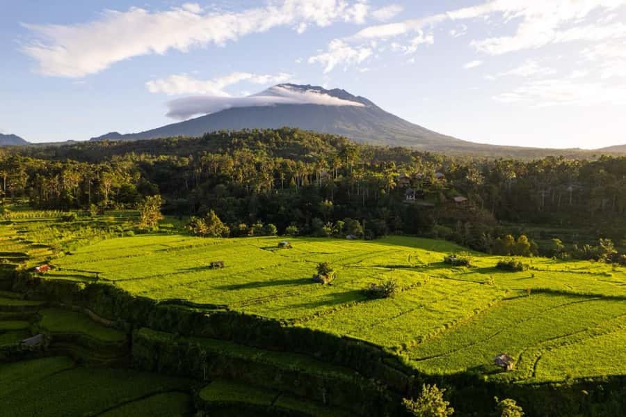 Bali: Traditional Villages, Salt Farm & Tirta Gangga Tour - Key Points Before You Go