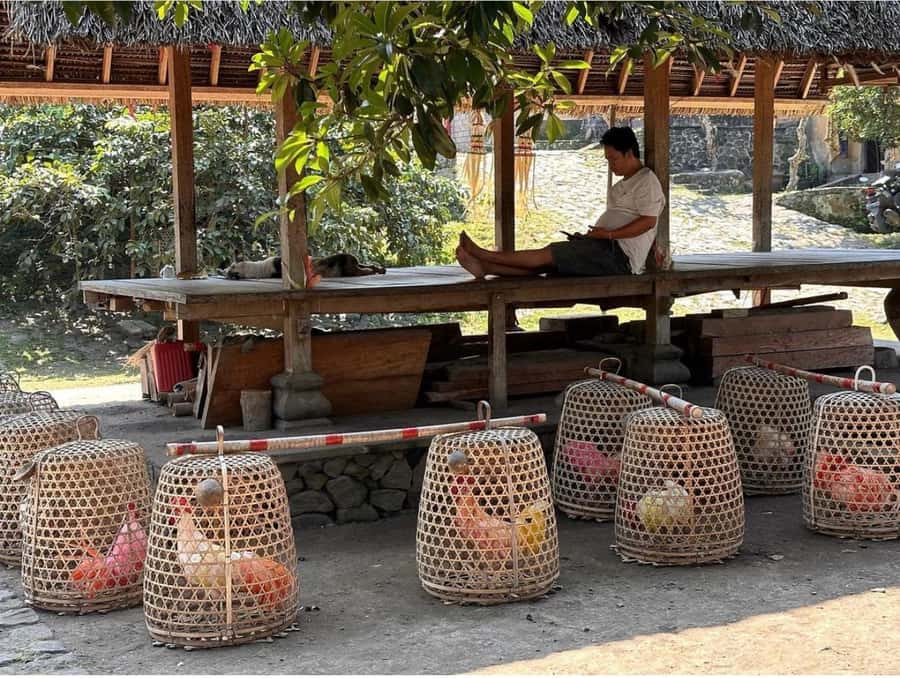 Bali: Traditional Villages, Salt Farm & Tirta Gangga Tour - How Long It Really Takes, and Why the Van Ride Matters