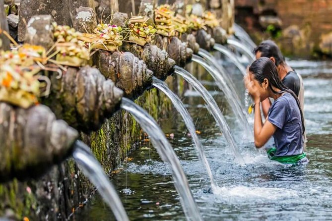 Bali Tribal Private Tour - Experience the best of Ubud, Bali - The private car experience, pickup, and how the day flows