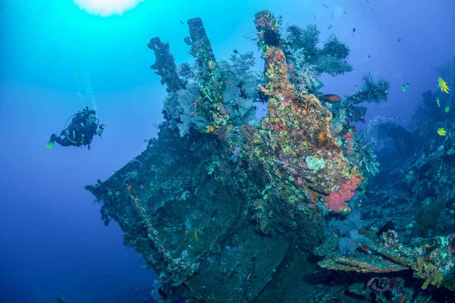 Bali: Tulamben Bay and the USAT Liberty Wreck Dive - Key things you’ll notice on this day