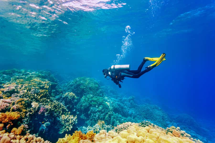 Bali: Tulamben Bay Beginner's Dive Experience - Why Tulamben Bay Works So Well for First-Timers