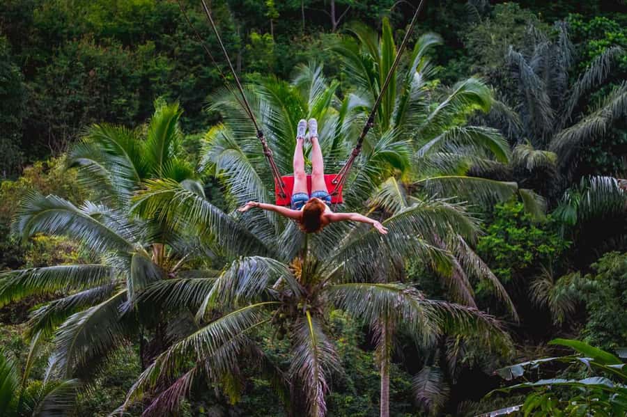 Bali: Ubud and Tanah Lot Small Group Guided Tour - Should You Book This Bali Ubud and Tanah Lot Tour?