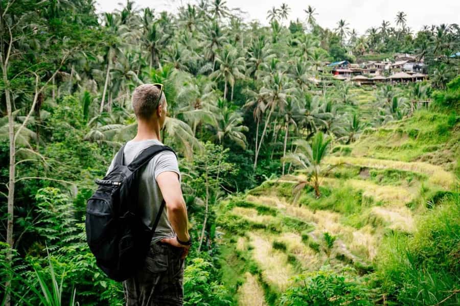 Bali: Ubud and Tanah Lot Small Group Guided Tour - Who This Tour Suits Best (and Who Should Consider Another Option)