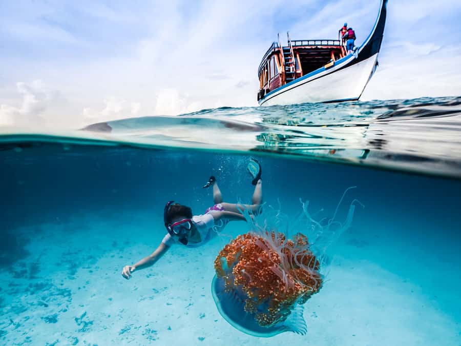 Bali: Ubud ATV and Blue Lagoon Snorkeling Tour with Lunch - Key Things to Know Before You Go