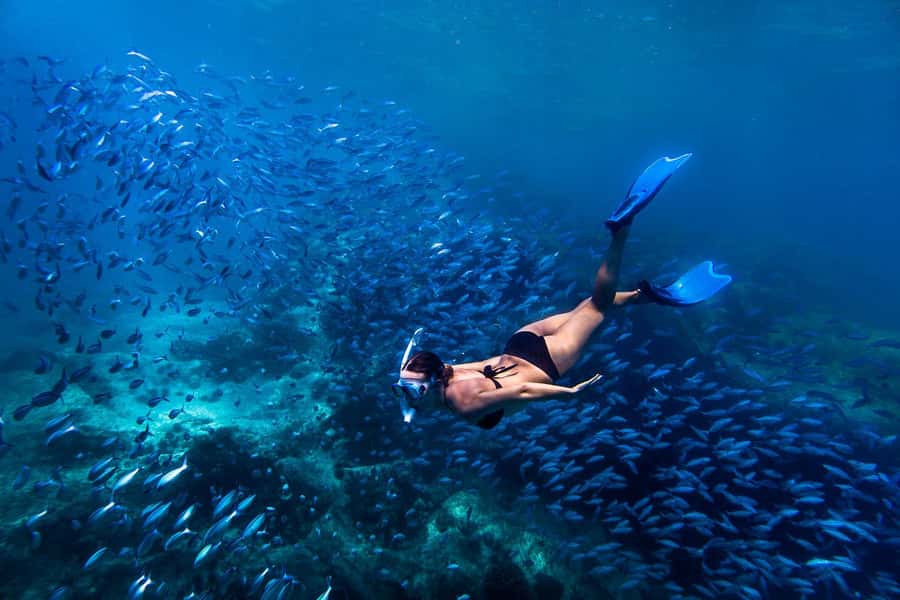 Bali: Ubud ATV and Blue Lagoon Snorkeling Tour with Lunch - A Land-and-Sea Day That Actually Feels Like One Adventure