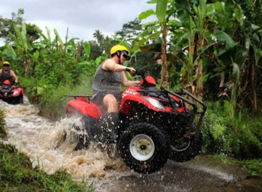Bali: Ubud ATV and Blue Lagoon Snorkeling Tour with Lunch - Blue Lagoon and Tanjung Jepun Snorkeling: Reef Life in Calm Water