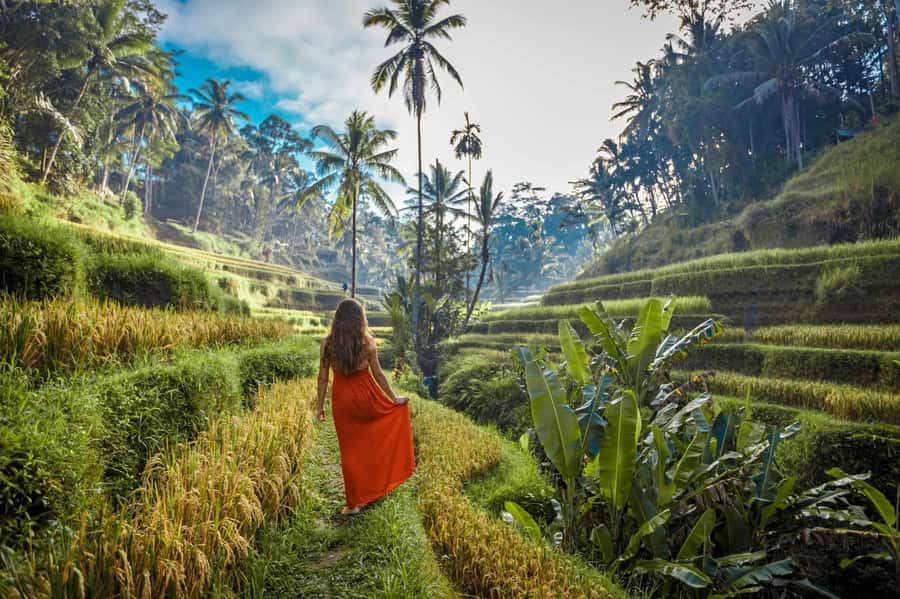 Bali: Ubud ATV Quad Bike, Jungle Swing & Rice Terrace Tour - Who This Tour Fits Best (And Who Should Skip It)