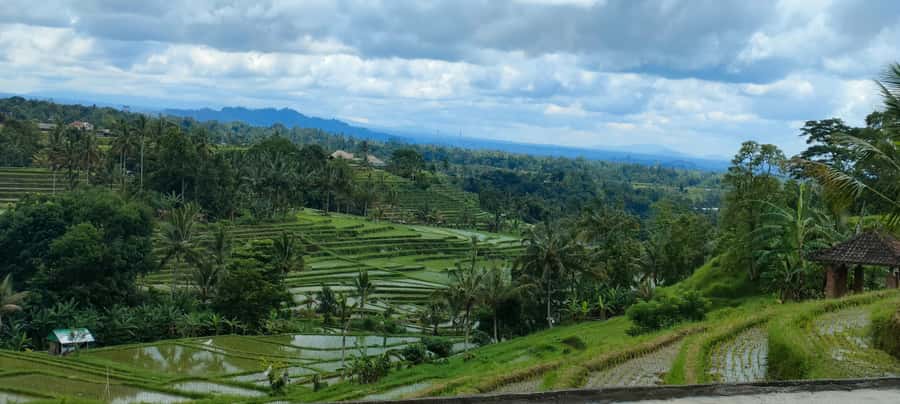 Bali: ubud costumize tour with private driver - Pickup limits in Gianyar and how to plan your timing