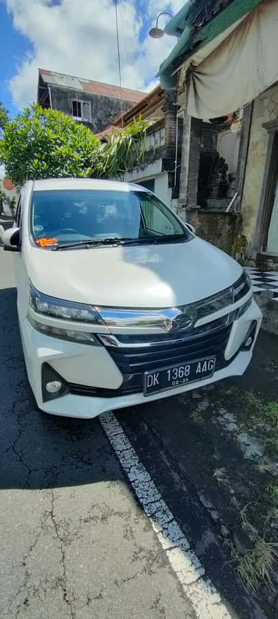 Bali: ubud costumize tour with private driver - Cost and value: what $26 per person buys you