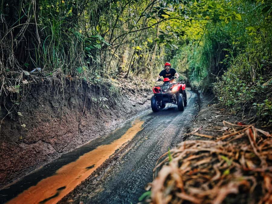 Bali: Ubud Gorilla Cave Track ATV & Waterfall Tour with Meal - Goa Raja Waterfall: valley walk, natural pool, and the stair reality
