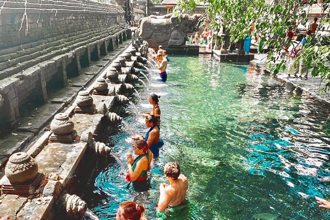 Bali: Ubud Highlights Tour with Private Guide and Transfers - Ubud in One Day, Without the Headache