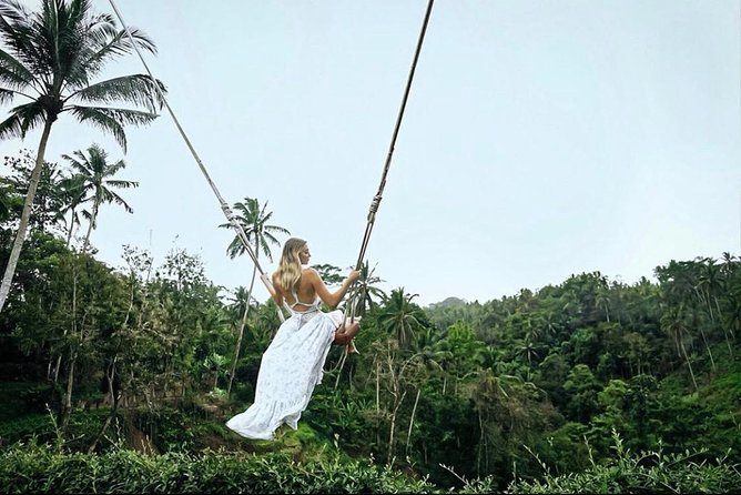 Bali: Ubud Highlights Tour with Private Guide and Transfers - Hotel Pickup and the Car Plan: Where Transfers Make Life Easier