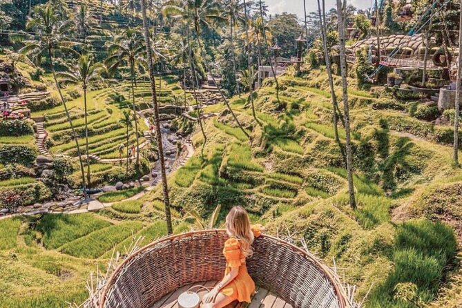Bali: Ubud Highlights Tour with Private Guide and Transfers - Stop 5, Terrace River Pool Swing: The Fun Part That Costs Extra