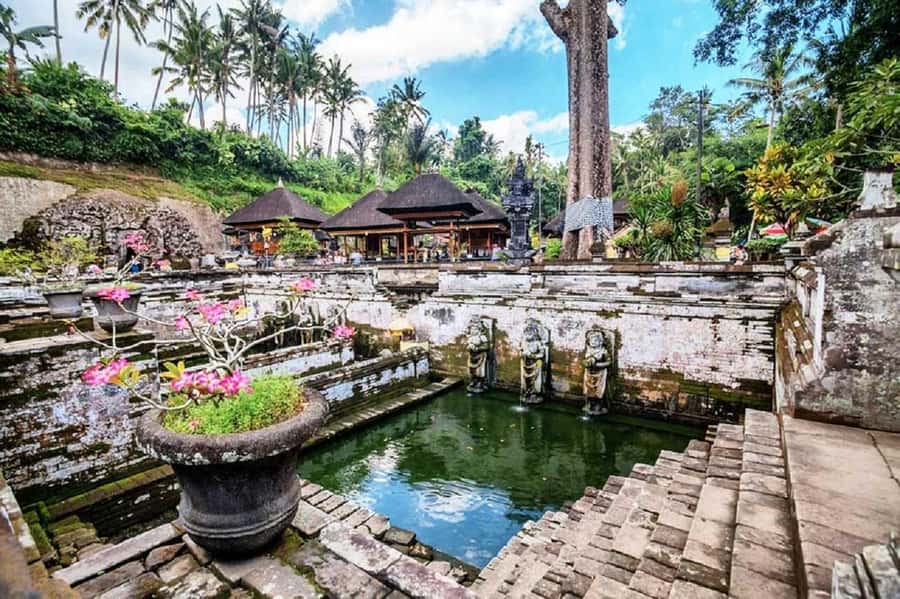 Bali: Ubud, Monkey Forest, Ancient Temple, Waterfalls - Key points worth planning around
