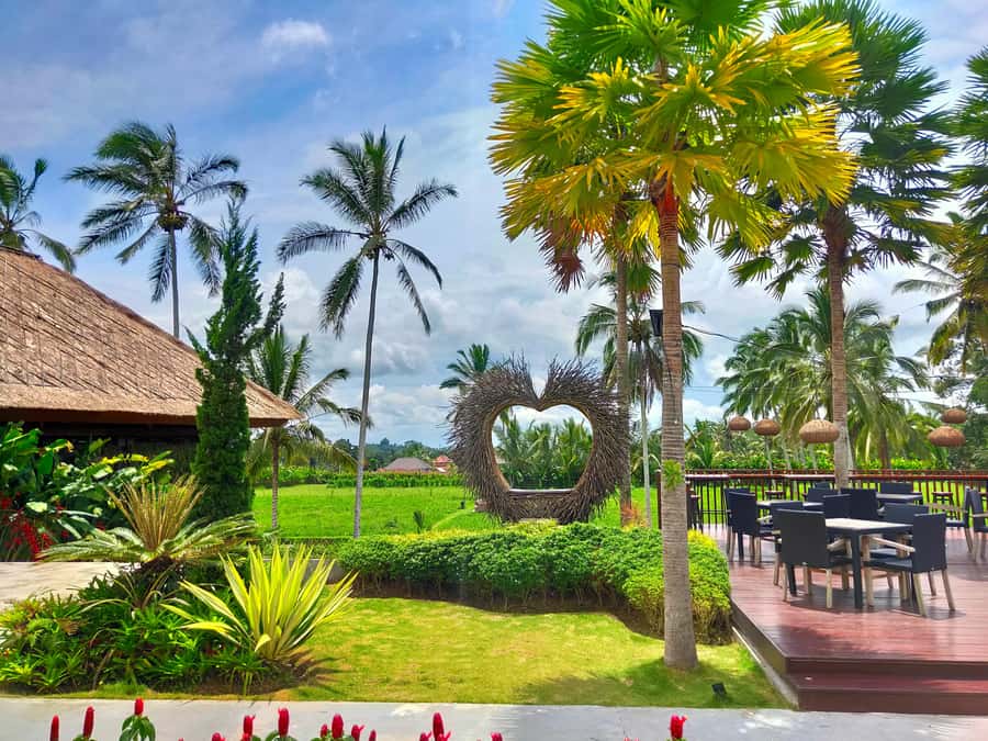 Bali: Ubud, Monkey Forest, Ancient Temple, Waterfalls - Suwat Waterfall: photo stop worth it, bring water shoes