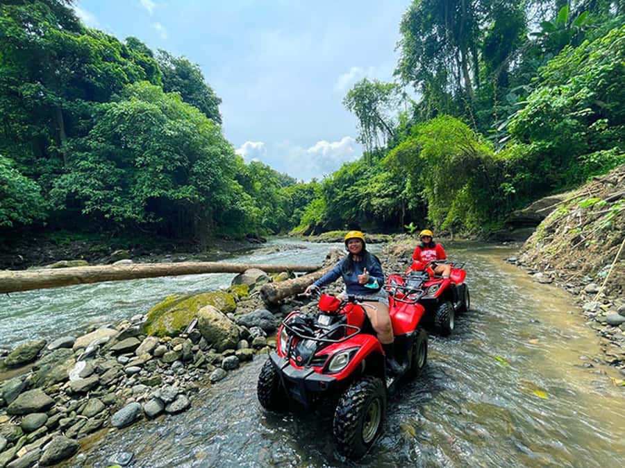 Bali: Ubud, Monkey Forest, Ancient Temple, Waterfalls - Tegalalang Rice Terraces: break time plus photos that feel earned