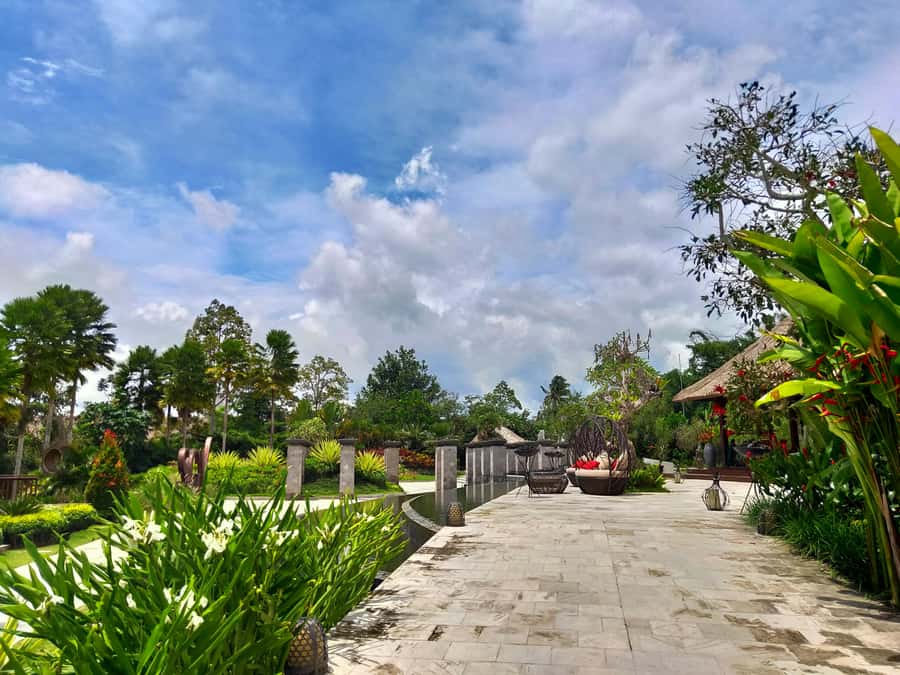 Bali: Ubud, Monkey Forest, Ancient Temple, Waterfalls - Pickup, private driving, and how the timing usually feels