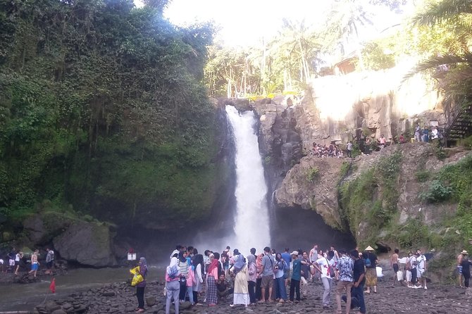 Bali Ubud Private Costomized Tour - Explore Bali your way - Cantik Agriculture coffee tasting and lunch, the included value you should use