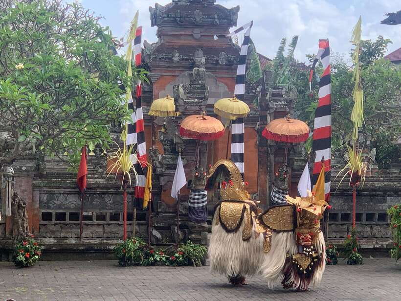 Bali Ubud : Private Full/ Half Day Tour, Optional Activities - Key highlights to know before you go