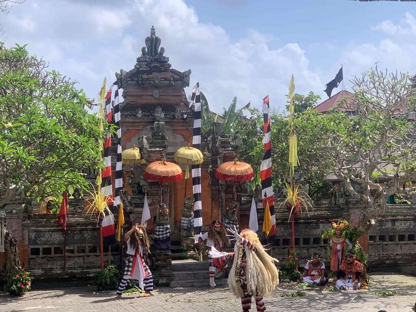 Bali Ubud : Private Full/ Half Day Tour, Optional Activities - Coffee, swings, dance, and more: add-ons that can make or break your pacing