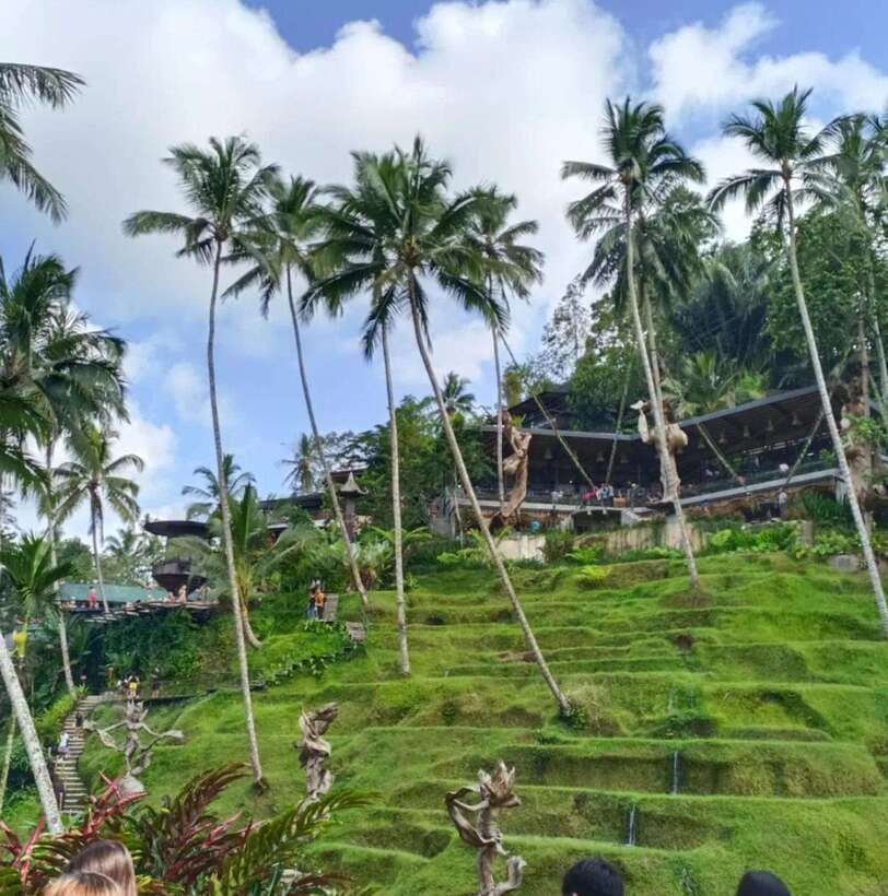 Bali Ubud : Private Full/ Half Day Tour, Optional Activities - Price and budgeting: what $50 per group really means