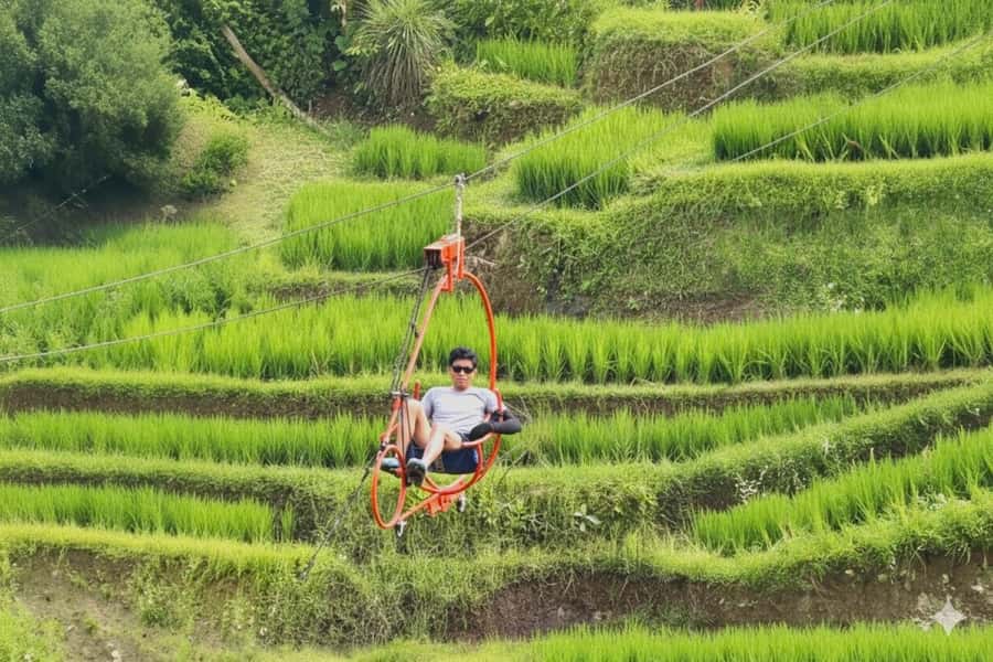 Bali/Ubud: Swing, Zipline & SkyBike Rice Terrace Adventure - Food, rest breaks, and what you do when the rides are done