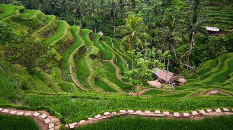 Bali: Ubud, Tegalalang, and Tanah Lot Temple Day Trip - Tanah Lot at sunset, the sea temple and its dramatic setting