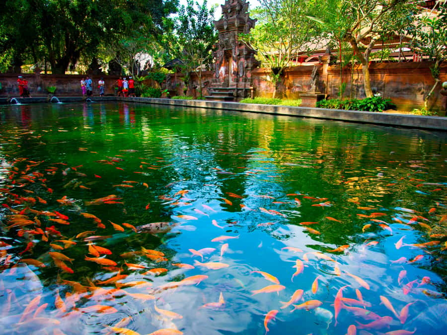 Bali: Ubud Traditional Balinese Purification - Should you book it? My practical call