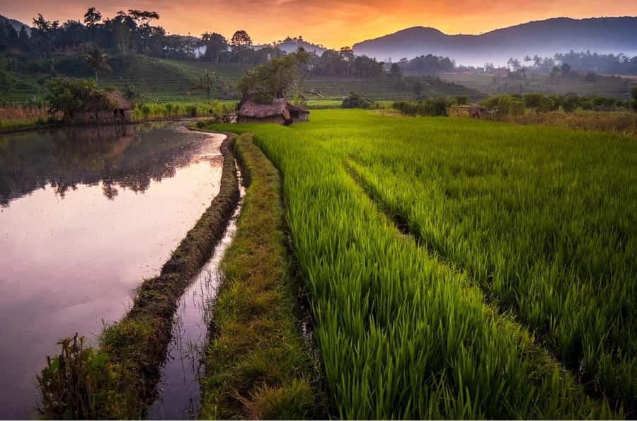 Bali: Ujung Water Palace, Candidasa and Sidemen Village Tour - What to bring, what to expect, and how to stay comfortable in the heat