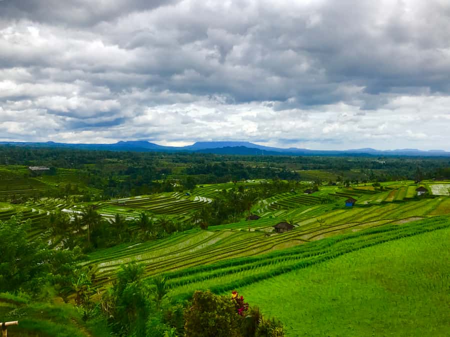 Bali UNESCO Sites: Private Guided Full-Day Tour - Price and value: what $35 buys when it’s private