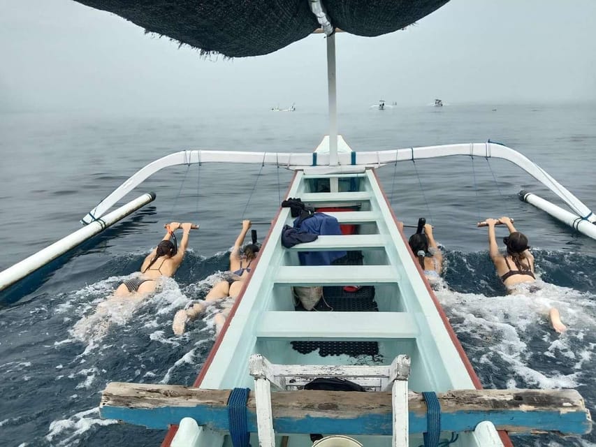 Bali: Watching Dolphin, Swimming & Snorkeling Tour - FAQ